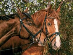 Cobble Hill Vrienden Voor Altijd - Puzzel Van 275 XXL Stukjes